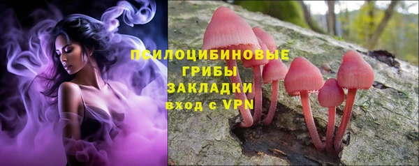 ешки Сатка
