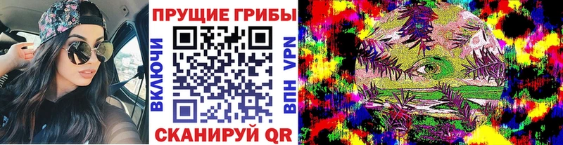 как найти   hydra tor  Псилоцибиновые грибы Magic Shrooms  площадка состав  Отрадный 