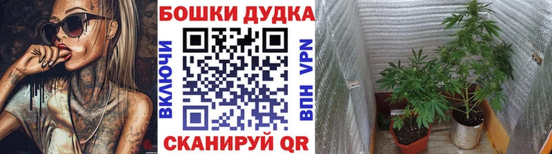 наркошоп  Отрадный  кракен рабочий сайт  Каннабис сатива 